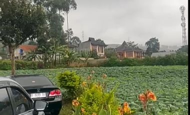 Tanah Di Pangalengan Cocok Untuk Tempat Wisata