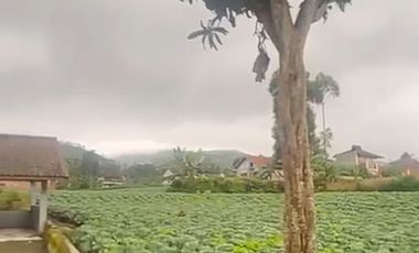 Tanah Di Pangalengan Cocok Untuk Tempat Wisata