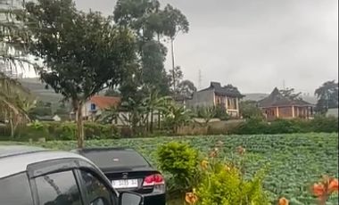 Tanah Di Pangalengan Cocok Untuk Tempat Wisata