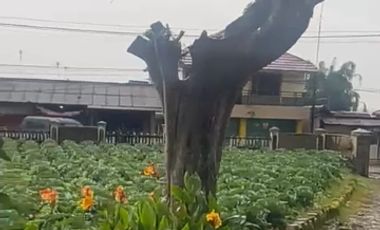 Tanah Di Pangalengan Cocok Untuk Tempat Wisata