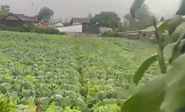 Tanah Di Pangalengan Cocok Untuk Tempat Wisata