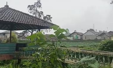 Tanah Di Pangalengan Cocok Untuk Tempat Wisata
