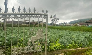 Tanah Di Pangalengan Cocok Untuk Tempat Wisata