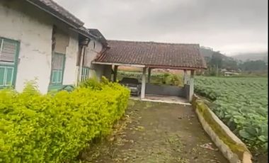 Tanah Di Pangalengan Cocok Untuk Tempat Wisata