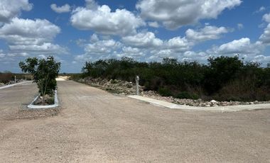 Terreno en Venta en Xamá 21°, Motul, Yucatán