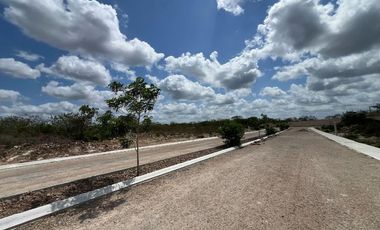 Terreno en Venta en Xamá 21°, Motul, Yucatán