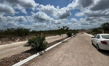 Terreno en Venta en Xamá 21°, Motul, Yucatán