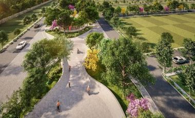 Terreno en Venta en Xamá 21°, Motul, Yucatán