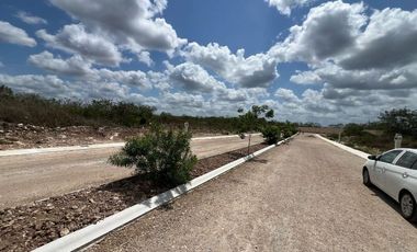 Terreno en Venta en Xamá 21°, Motul, Yucatán