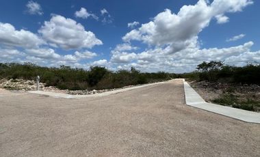 Terreno en Venta en Xamá 21°, Motul, Yucatán