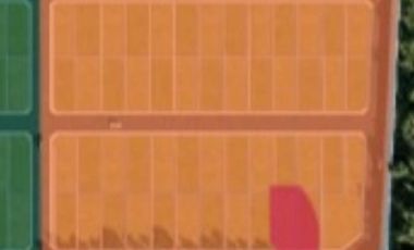 Terreno en Venta en Xamá 21°, Motul, Yucatán