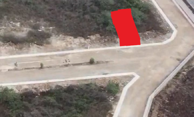 Terreno en Venta en Xamá 21°, Motul, Yucatán