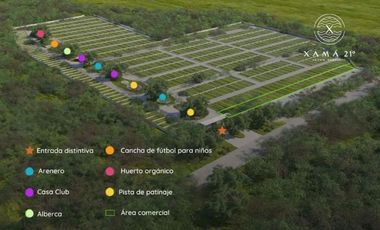 Terreno en Venta en Xamá 21°, Motul, Yucatán