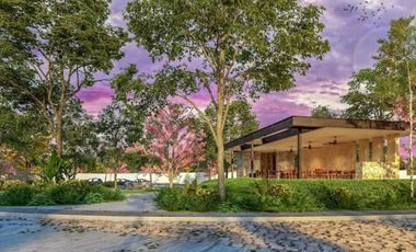 Terreno en Venta en Xamá 21°, Motul, Yucatán