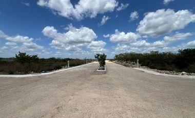 Terreno en Venta en Xamá 21°, Motul, Yucatán