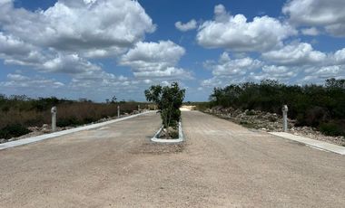 Terreno en Venta en Xamá 21°, Motul, Yucatán