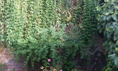 Casa en venta de 1 dormitorio c/ cochera en Cinco Saltos