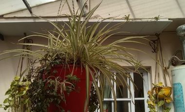 Dúplex en venta de 3 dormitorios c/ cochera en Mar de Ajo