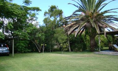 Casa en Alquiler en Punta del Este por Quincena de Febrero