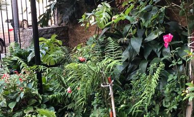 EXCELENTE CASA CON PILETA Y JARDIN. INMUEBLE DE CATEGORÍA