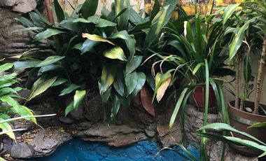 EXCELENTE CASA CON PILETA Y JARDIN. INMUEBLE DE CATEGORÍA