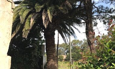 CASA QUINTA CHAPADMALAL.-