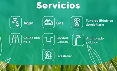 Terrenos de 300 m2 en venta - Autopista Ros-Sta Fe Km 8 - Ricardone