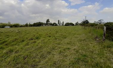 4 FRACCIONES EN VENTA EN LA PEREGRINA - 2 DE 1.5 HAS - 2  DE 3 HAS.