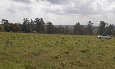 4 FRACCIONES EN VENTA EN LA PEREGRINA - 2 DE 1.5 HAS - 2  DE 3 HAS.