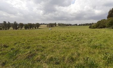 4 FRACCIONES EN VENTA EN LA PEREGRINA - 2 DE 1.5 HAS - 2  DE 3 HAS.