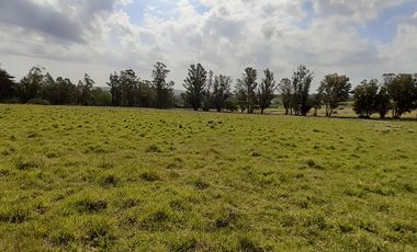 4 FRACCIONES EN VENTA EN LA PEREGRINA - 2 DE 1.5 HAS - 2  DE 3 HAS.