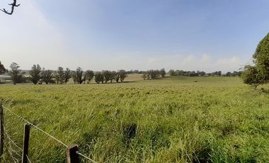 4 FRACCIONES EN VENTA EN LA PEREGRINA - 2 DE 1.5 HAS - 2  DE 3 HAS.