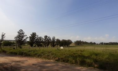 4 FRACCIONES EN VENTA EN LA PEREGRINA - 2 DE 1.5 HAS - 2  DE 3 HAS.