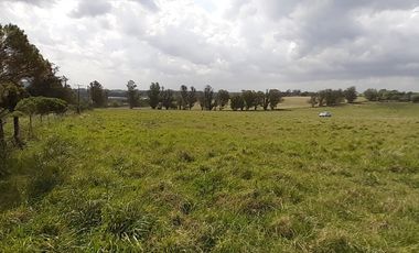 4 FRACCIONES EN VENTA EN LA PEREGRINA - 2 DE 1.5 HAS - 2  DE 3 HAS.