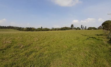 4 FRACCIONES EN VENTA EN LA PEREGRINA - 2 DE 1.5 HAS - 2  DE 3 HAS.