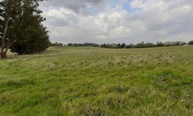 4 FRACCIONES EN VENTA EN LA PEREGRINA - 2 DE 1.5 HAS - 2  DE 3 HAS.