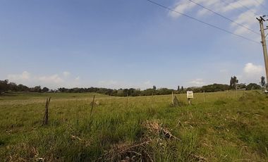 4 FRACCIONES EN VENTA EN LA PEREGRINA - 2 DE 1.5 HAS - 2  DE 3 HAS.