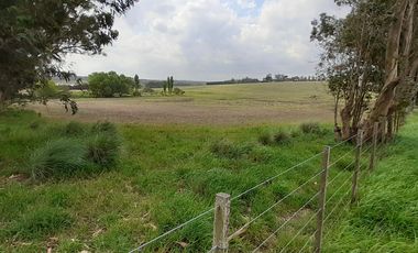 4 FRACCIONES EN VENTA EN LA PEREGRINA - 2 DE 1.5 HAS - 2  DE 3 HAS.