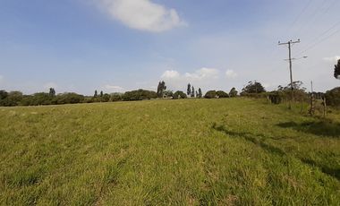 4 FRACCIONES EN VENTA EN LA PEREGRINA - 2 DE 1.5 HAS - 2  DE 3 HAS.