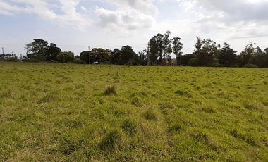 4 FRACCIONES EN VENTA EN LA PEREGRINA - 2 DE 1.5 HAS - 2  DE 3 HAS.