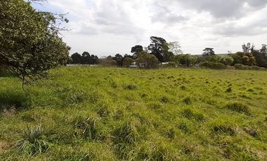 4 FRACCIONES EN VENTA EN LA PEREGRINA - 2 DE 1.5 HAS - 2  DE 3 HAS.