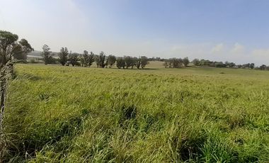 4 FRACCIONES EN VENTA EN LA PEREGRINA - 2 DE 1.5 HAS - 2  DE 3 HAS.