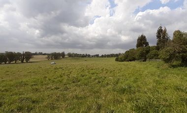 4 FRACCIONES EN VENTA EN LA PEREGRINA - 2 DE 1.5 HAS - 2  DE 3 HAS.