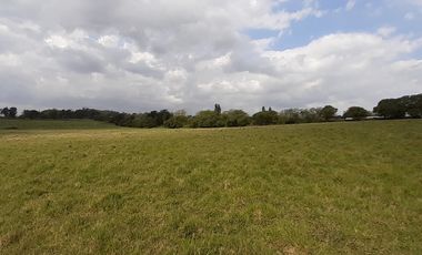 4 FRACCIONES EN VENTA EN LA PEREGRINA - 2 DE 1.5 HAS - 2  DE 3 HAS.