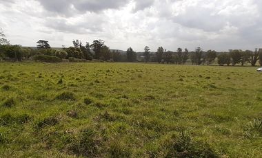 4 FRACCIONES EN VENTA EN LA PEREGRINA - 2 DE 1.5 HAS - 2  DE 3 HAS.