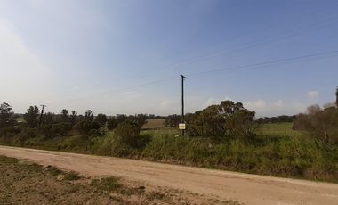 4 FRACCIONES EN VENTA EN LA PEREGRINA - 2 DE 1.5 HAS - 2  DE 3 HAS.