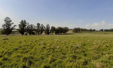 4 FRACCIONES EN VENTA EN LA PEREGRINA - 2 DE 1.5 HAS - 2  DE 3 HAS.