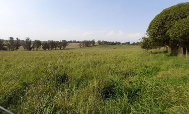 4 FRACCIONES EN VENTA EN LA PEREGRINA - 2 DE 1.5 HAS - 2  DE 3 HAS.