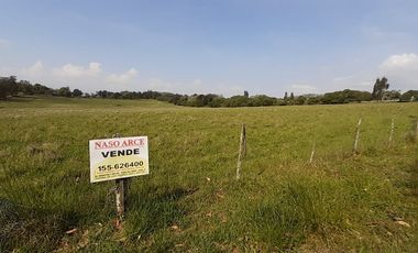 4 FRACCIONES EN VENTA EN LA PEREGRINA - 2 DE 1.5 HAS - 2  DE 3 HAS.