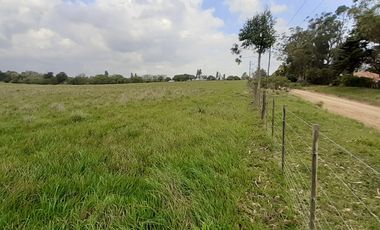 4 FRACCIONES EN VENTA EN LA PEREGRINA - 2 DE 1.5 HAS - 2  DE 3 HAS.